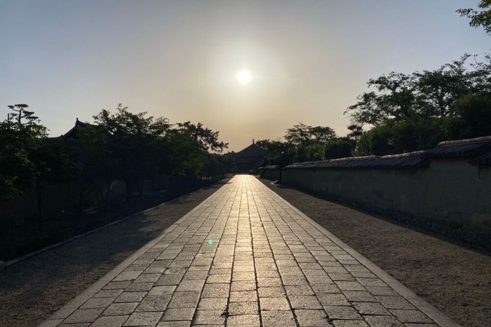 世界遺産を支える!? Osaka Metroとの関係性とは？